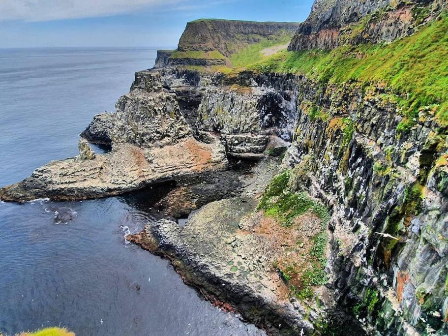 Cushendall Stables Zewnętrze zdjęcie